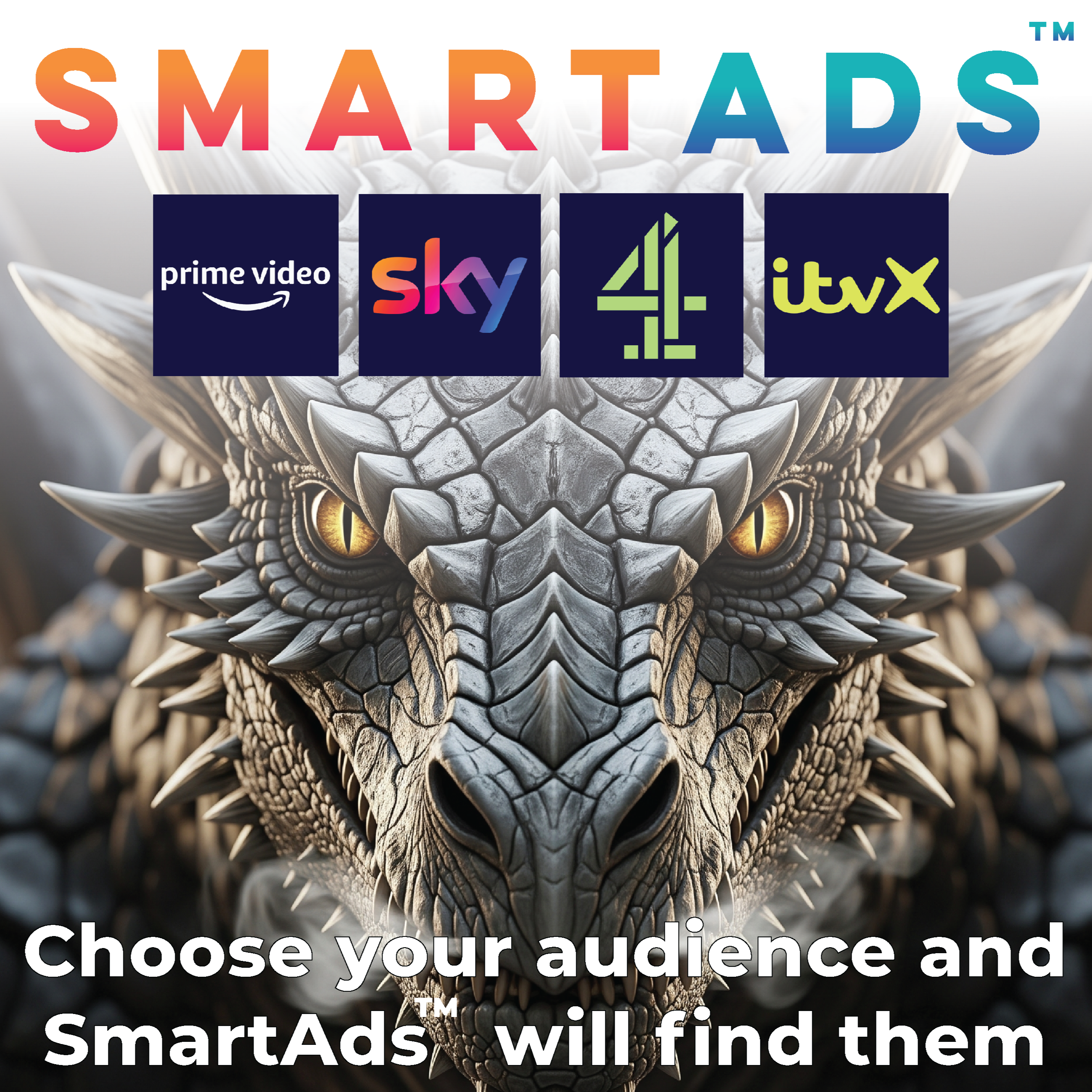 Dragon head with SmartAds logo and TV channel logos on a white background