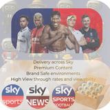 Sky Digital Online Display Sky App Advertising UGC Creatives 1 pence per view